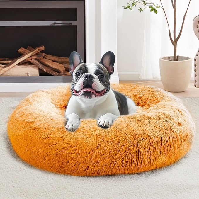 JOLLYVOGUE Calming Small Dog & Cat Bed by JOLLYVOGUE