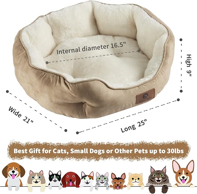 Asvin Medium Dog Bed for Medium Dogs, Cat Beds for Indoor Cats, Pet Bed for - Image 3