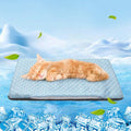 BEAUTYZOO Cooling Mat for Cats & Dogs -20" X 12" Ice Silk Cat Cooling Mat by BEAUTYZOO
