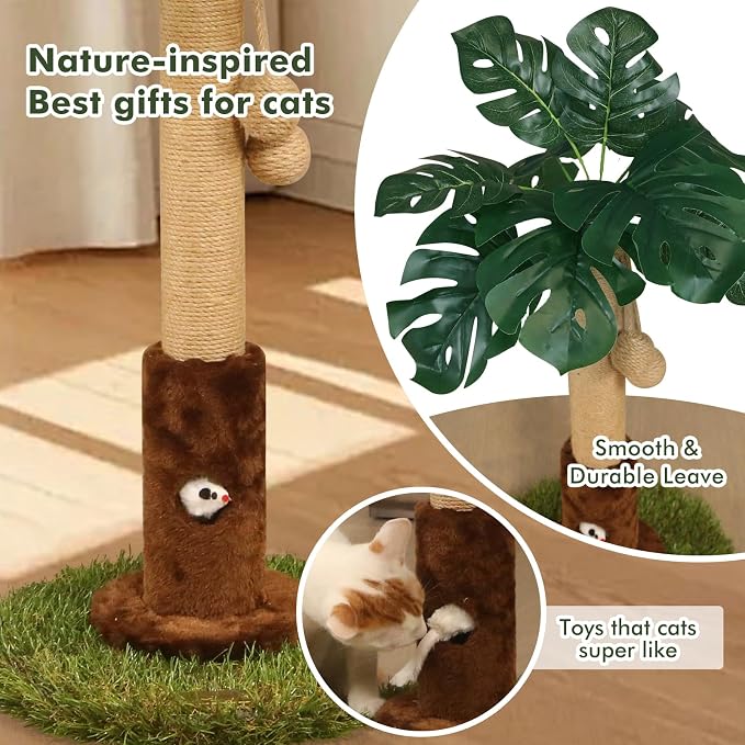 Cat Scratching Post for Indoor Cats and Kitten - Image 3