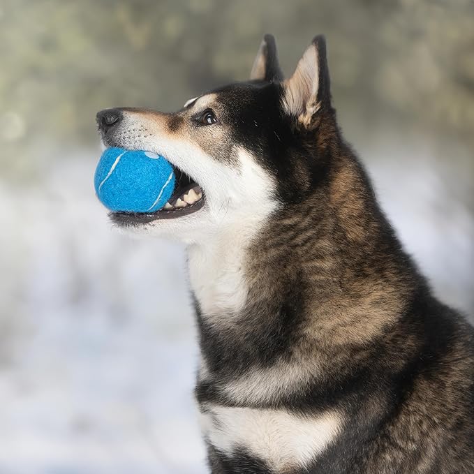 Best Pet Supplies Interactive Squeaky Dog Chew Toy, Ideal Dog Toys - Image 7
