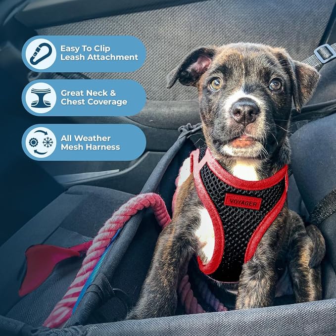 Best Pet Supplies - Image 3