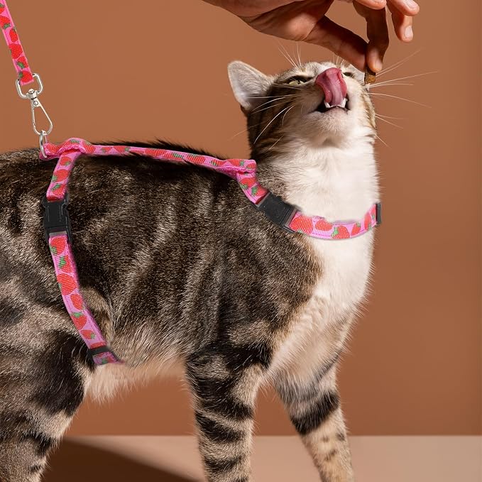 2 Pack Cat Harness and Leash - Image 6