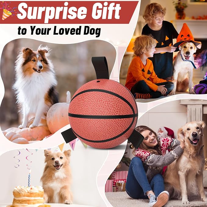 QDAN Dog Ball Basketball Toys, Balls - Image 2