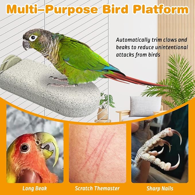 PINVNBY 6 PCS Large Bird Cage Perch Natural Parrot Beak Grinding Stone Calcium - Image 5