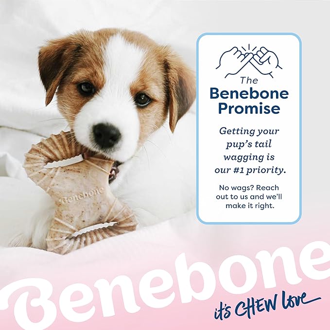 Benebone Puppy 2-Pack Dental Chew/Wishbone Dog Chew Toys, Made in USA, Real - Image 6