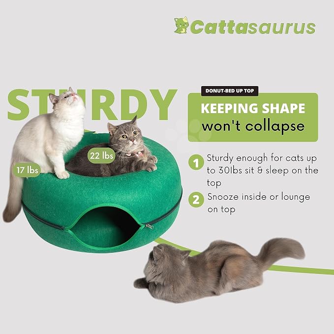 Cattasaurus Peekaboo Cat Cave Donut - Image 2