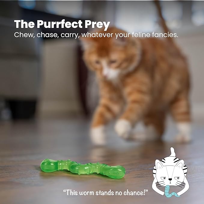 Petstages Orkakat Wiggle Worm Dental Catnip Cat Chew Toy - Image 6
