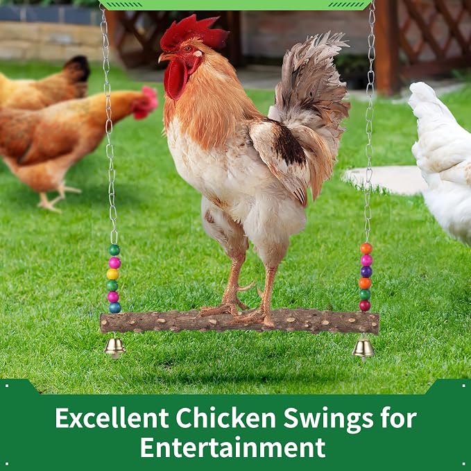 2PCS Chicken Bird Swings - Image 3