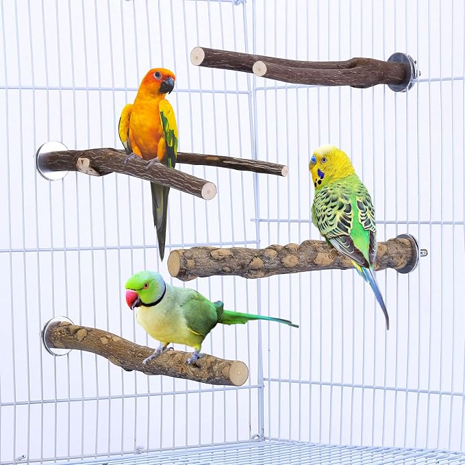 Mogoko 4 Pcs Bird Perches Parrot Stand Natural Wood Perch Parakeet Toys Bird - Image 2