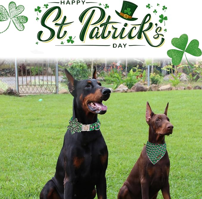 MR. CHUBBYFACE St.Patrick's Clover Dog Collar - Image 4