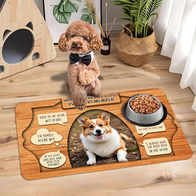 Personalized Dog Cat Mat with Name Photo Custom Placemat Feeding Mats - Image 6