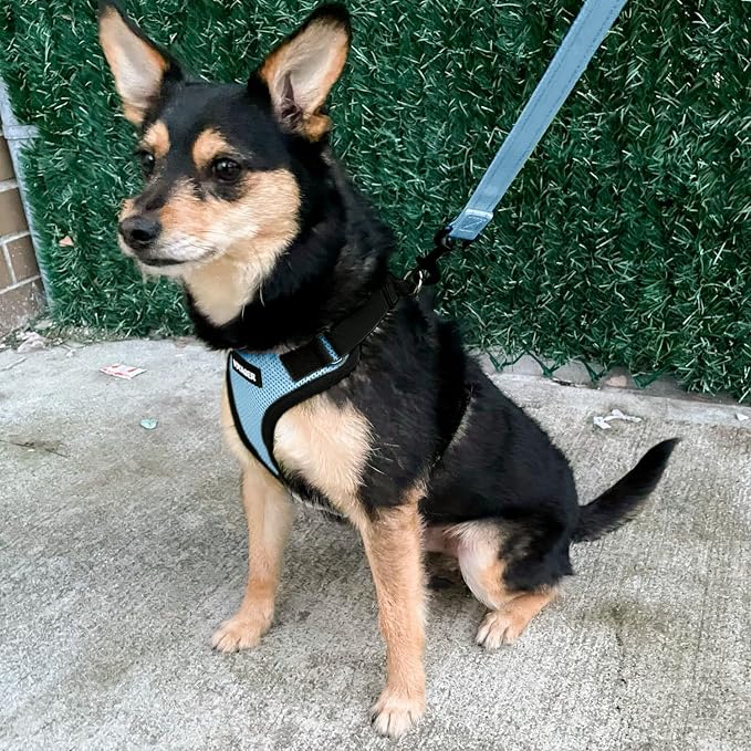 Voyager Step-in Pet Harness - Image 8