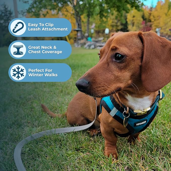 Best Pet Supplies - Image 5