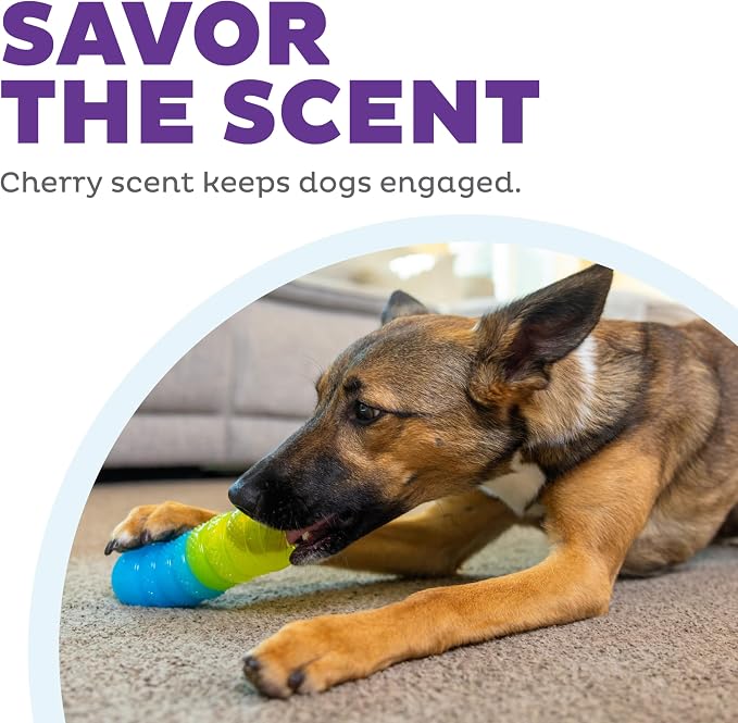 Outward Hound Gummiez Worm Dog Toy & Treat Stuffer, 6″ x 2″ Cherry-Scent - Image 5