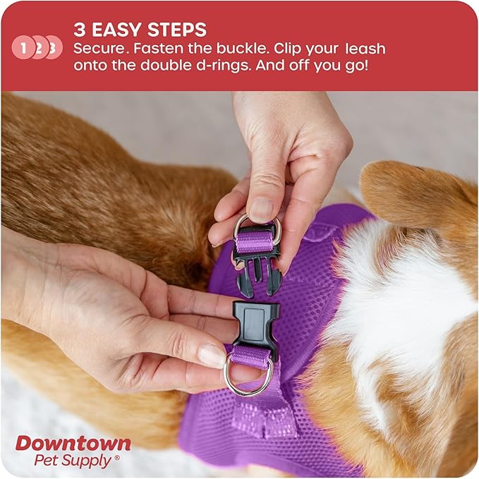 Downtown Pet Supply Step-in Dog Harness – No Pull, Adjustable Padded Mesh - Image 5