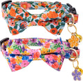 Faygarsle 2 Pack Cat Collar by Faygarsle