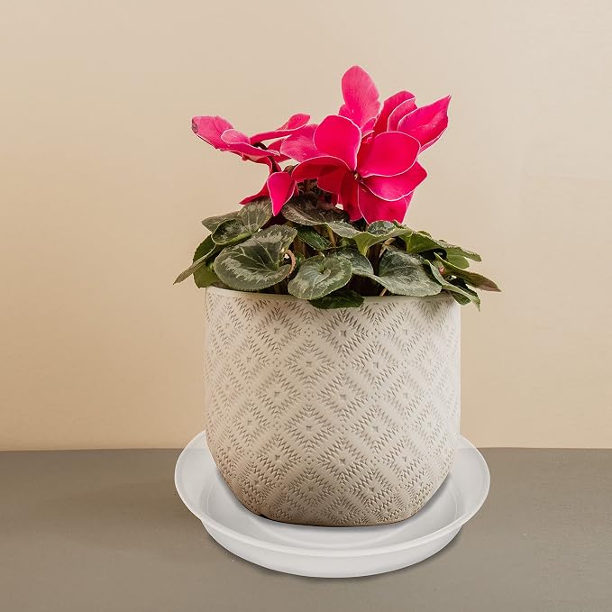 2 Pack of 8 inch Plant Saucer Clear, Heavy Duty Plastic Plant Water Tray 8 inch - Image 5