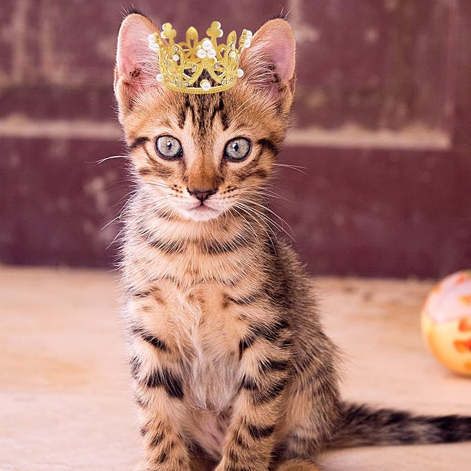 PET SHOW 2pcs Small Dog Crown Headband Puppies Rabbit Cat Hat - Image 2