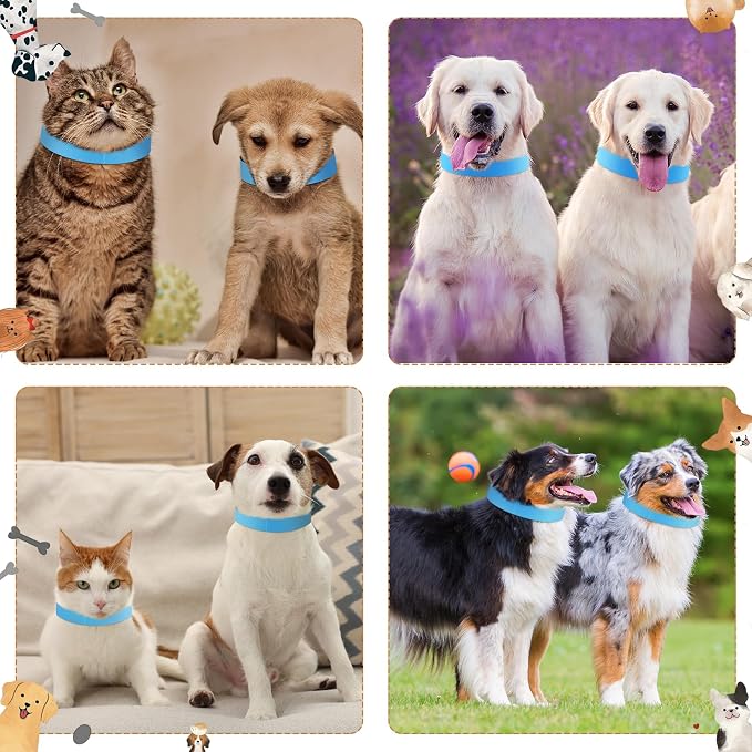 500 Count 20inch Adjustable Paper Dog Collars - Image 6
