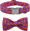 Dog Collar - Halloween Pumpkin Bowtie Pet Collar Gift Soft Bow Collar Pet by BoboRainbow