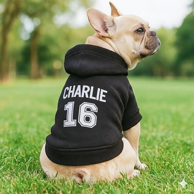Personalized Name Dog Hoodie, Embroidered Puppy Sweater - Image 3