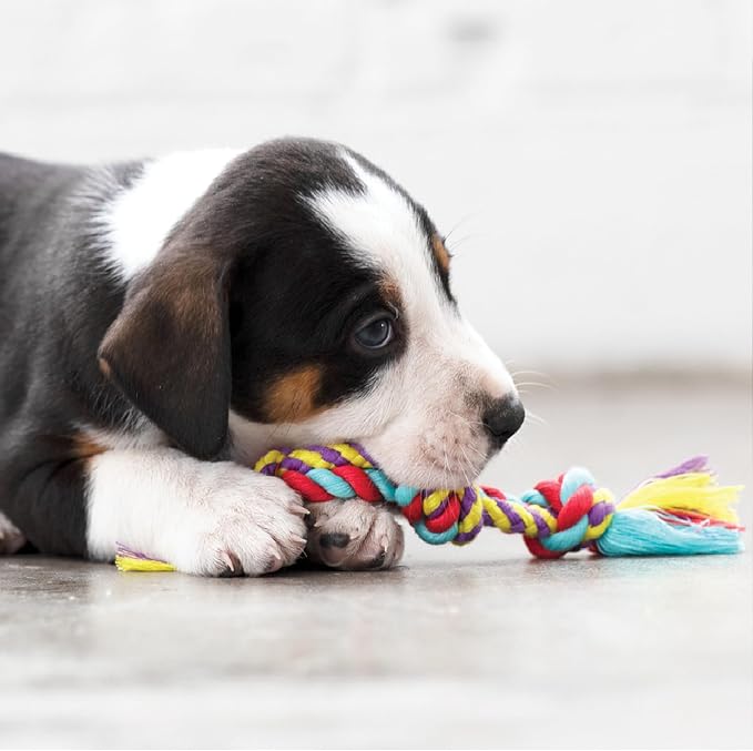Petstages Orka Mini Dental Dog Chew Toys - Image 8
