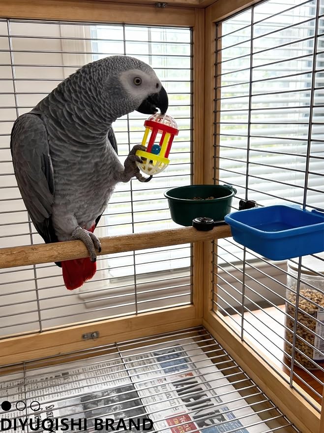 10-Pack Bird Toys for Parrots – Natural Rattan & Plastic Bell Balls – Safe - Image 6