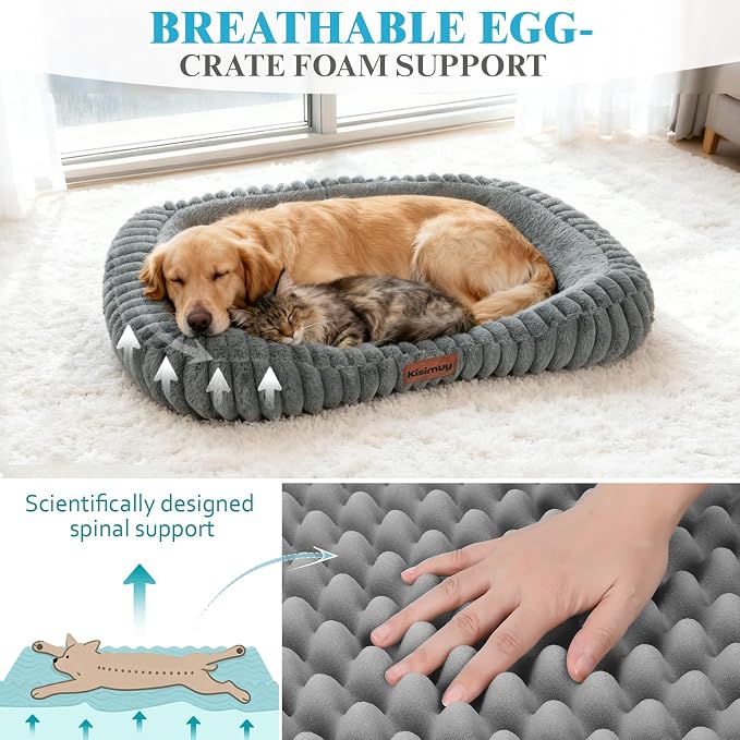 Cute Dog Bed for Medium Dogs, Orthopedic Rectangle Dog Bed - Image 2