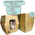 Cats Desire Disposable Litter Box No Plastic Solution w/ Low Entry & Enclosed by CatsDesire