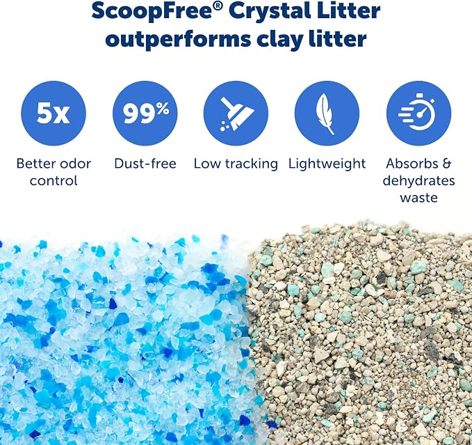 PetSafe ScoopFree Reusable Tray - Image 5
