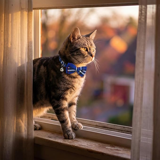 THAIN Cat Collar Breakaway - Image 6