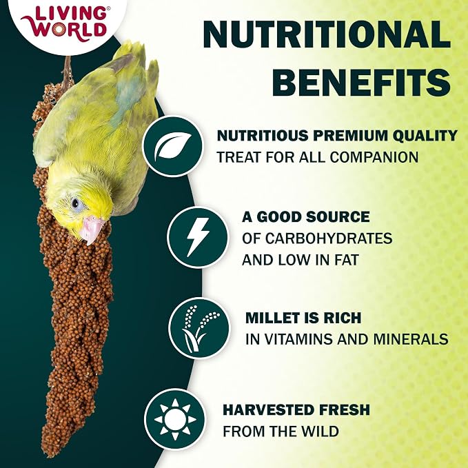 Living World – Millet Spray for Birds, 7 Oz – Premium Treat for Budgies - Image 2