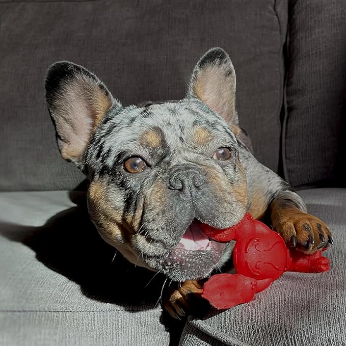Nylabone Lobster Power Chew Toy - Image 14