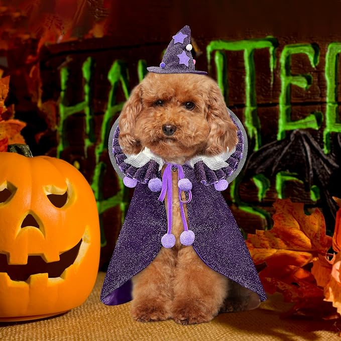 KOUPA Pet Halloween Costume - Image 2