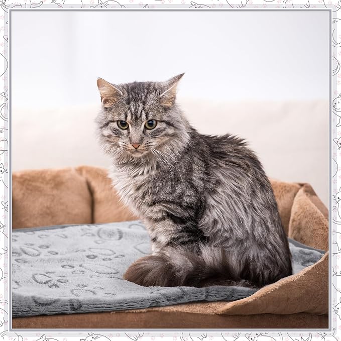 Tegeme 12 Pcs Pet Blankets Soft Fluffy Fleece Dog Cat Warm Paw Print Pattern - Image 6