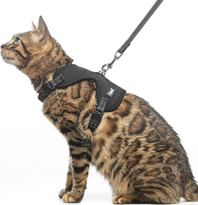 PUPTECK Cat Harness and Leash Set Escape Proof, Reflective Adjustable Soft Mesh by PUPTECK