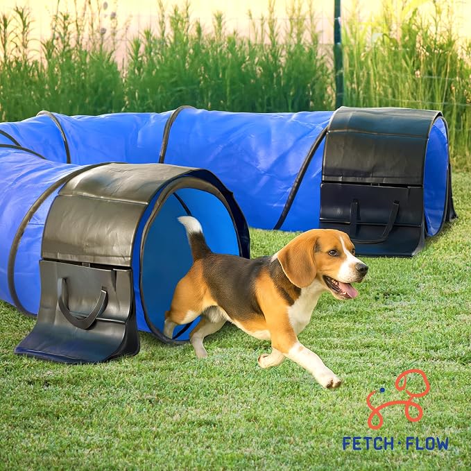 FetchFlow Dog Agility Training Equipment – Complete Backyard Agility Course Set - Image 7