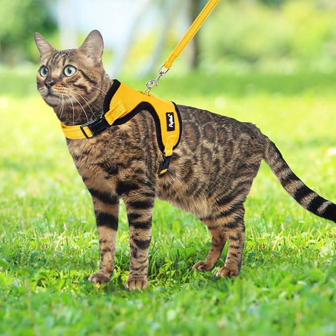 PUPTECK Cat Harness and Leash Set Escape Proof, Reflective Adjustable Soft Mesh - Image 6
