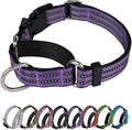 Martingale Dog Collar, Adjustable Nylon Reflective Collar by JOYEEIIOO