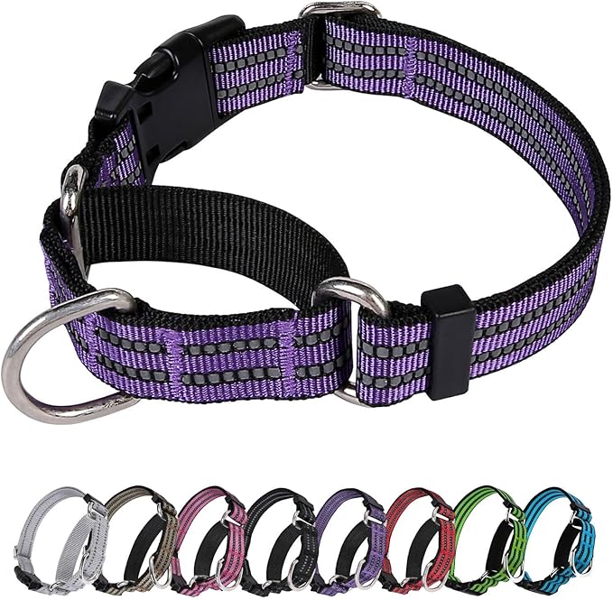 Martingale Dog Collar, Adjustable Nylon Reflective Collar by JOYEEIIOO