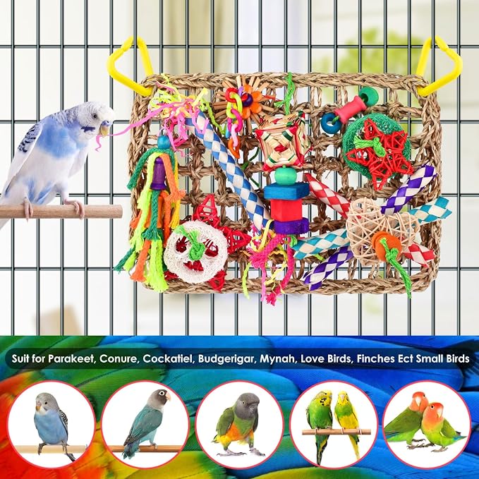 KATUMO Bird Toys, Bird Foraging Wall Toy, Edible Seagrass Woven Climbing - Image 6