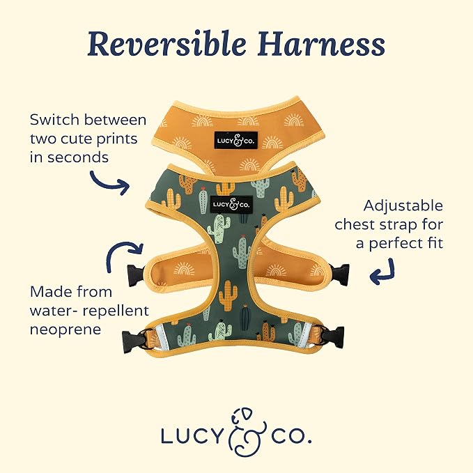 Lucy & Co. Looking Sharp, Cute Reversible Dog Harness Walking Halter - Image 2