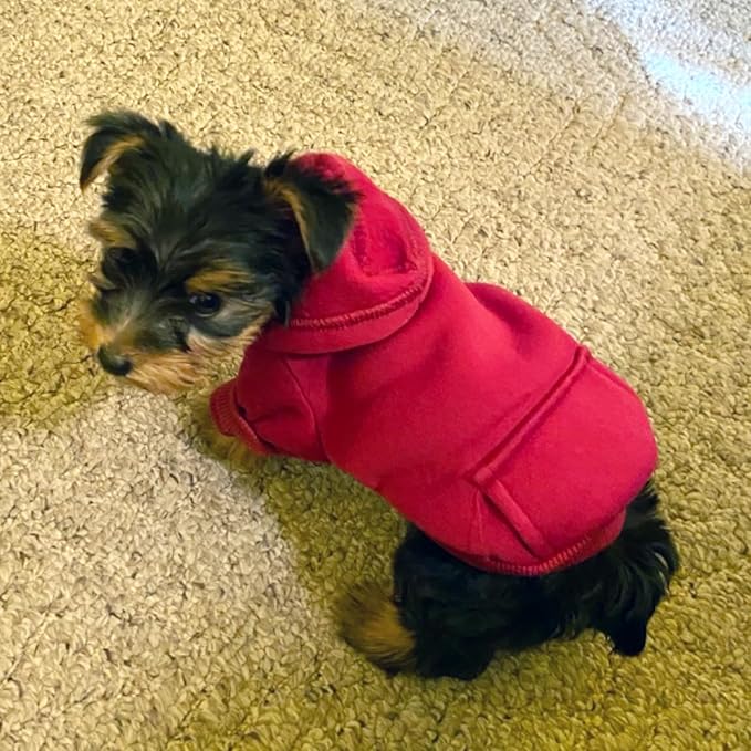 Jecikelon Winter Dog Hoodie Sweatshirts - Image 5