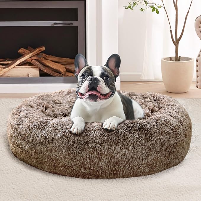 JOLLYVOGUE Calming Small Dog & Cat Bed by JOLLYVOGUE