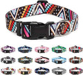 Mercano Adjustable Dog Collar