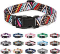 Mercano Adjustable Dog Collar by Unknown