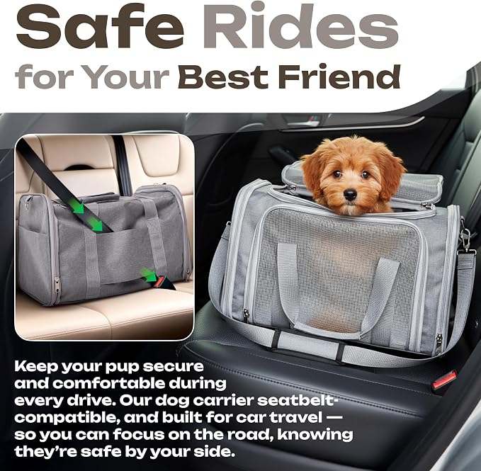Pet Carrier for Cats, Guinea Pigs – Airline Approved Soft-Sided Travel Bag - Image 7