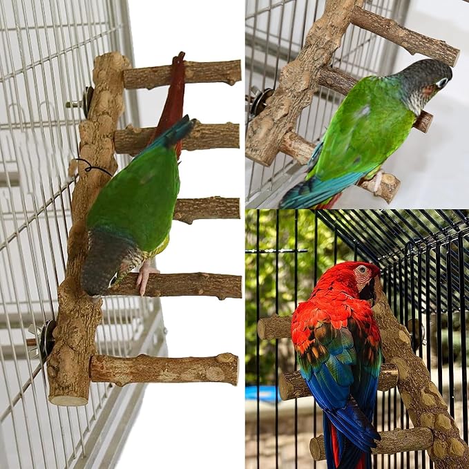Bird Parrot Ladder Perch for Cage, Nature Wooden Bird Bridge Exercise Stands - Image 4