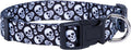 Native Pup Skull Dog Collar for Halloween by NativePup